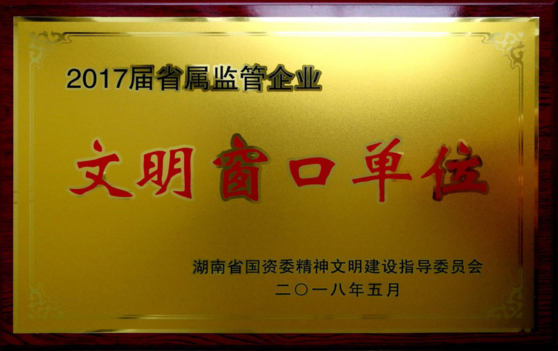 乐鱼平台_乐鱼(中国)一站式服务平台集团养老产业有限公司荣获“省属监管企业文明窗口单位”称号