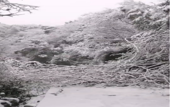 战暴雪、保供电！乐鱼平台_乐鱼(中国)一站式服务平台鸟儿巢公司应对极端天气紧急抢修失电故障