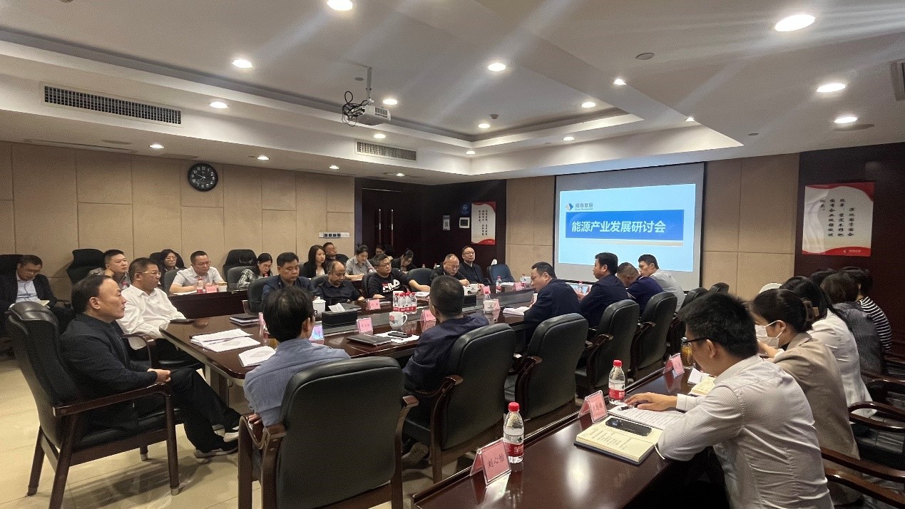乐鱼平台_乐鱼(中国)一站式服务平台召开能源产业发展研讨会